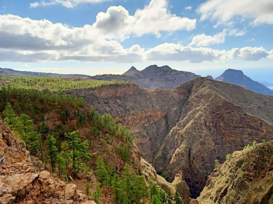 فيلا Casa Tia Rosa. أذيخي المظهر الخارجي الصورة